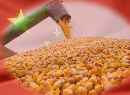 China returned to an export market of corn