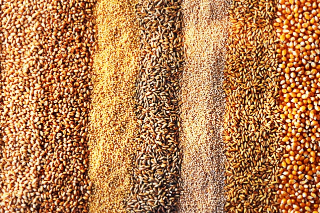 Україна в новому сезоні збере 60 млн. тон зерна
