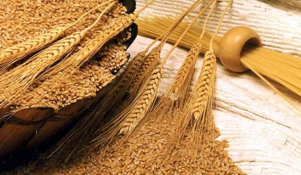 Європейська пшениця дорожчає в очікуванні пожвавлення експорту