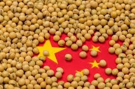 China's soybean processing volume hits historic high in June