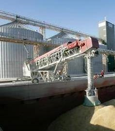 Despite the growth of grain production in Ukraine has reduced exports, Russia – on the contrary