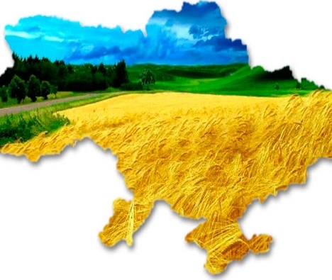The agriculture Ministry said that Ukraine is ready to open the land market