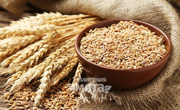 Strong demand and drought in the United States supported stock prices for wheat