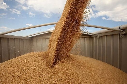 Експорт зерна з Росії за 2014/15 роки складе 28,5 млн тонн