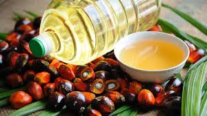 Palm oil prices rose by 4.7% amid a 4% rise in oil prices