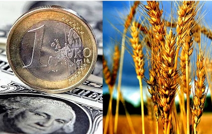 Несприятлива погода у Східній Європі розігріла ринок пшениці