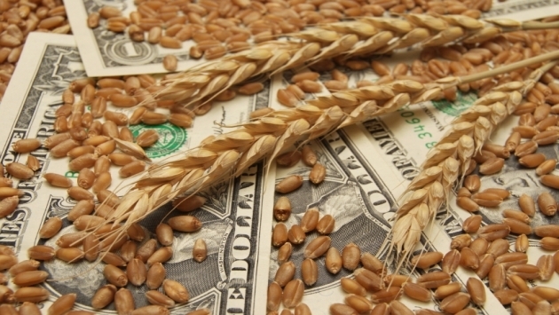 Вартість пшениці в США виросла під впливом несприятливої для озимих погоди