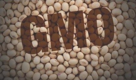 Держспоживслужба посилить перевірки на вміст ГМО, особливо для сої
