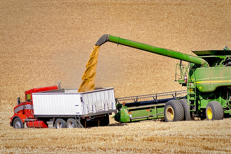 Американська пшениця дешевшає в очікуванні опадів