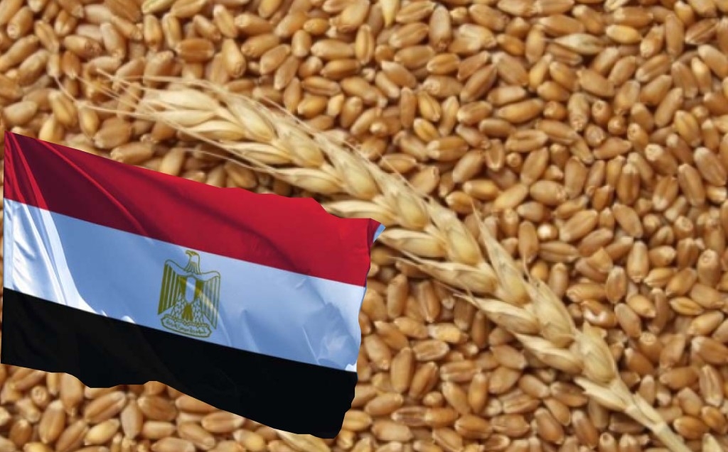Egypt bought wheat $5/t cheaper than at the previous auction, which increases the pressure on global quotations