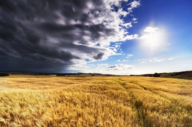Weather conditions contribute to better harvests in the USA, Canada, Europe and China - local risks remain in Ukraine and the Russian Federation