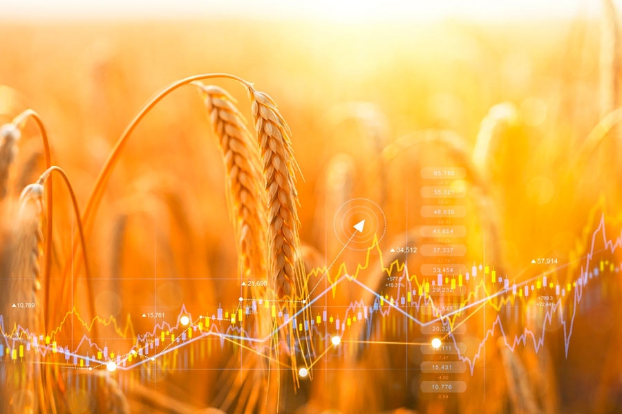 Wheat export prices rise in Ukraine due to limited supply
