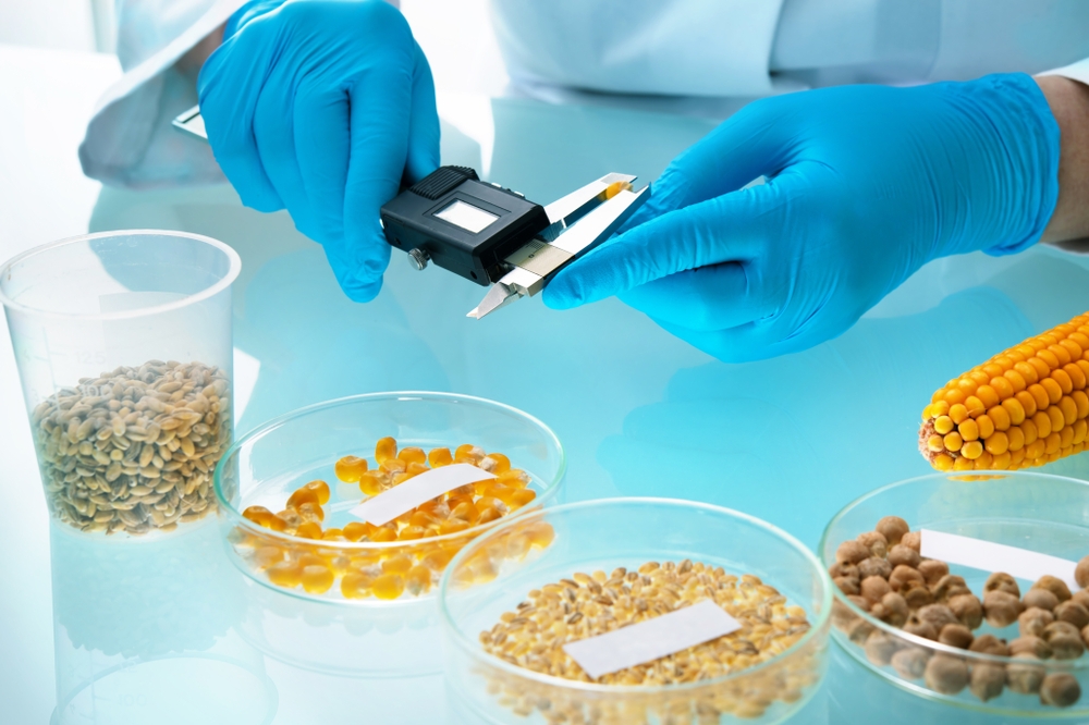 З вересня в Україні запрацює Державний реєстр ГМО