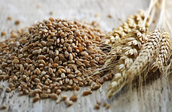 Пшеничні котирування в п’ятницю зупинили падіння та незначно виросли