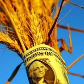 Спекулятивні угоди розігріли ринок пшениці в США