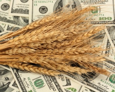 Ринок американської пшениці зростає