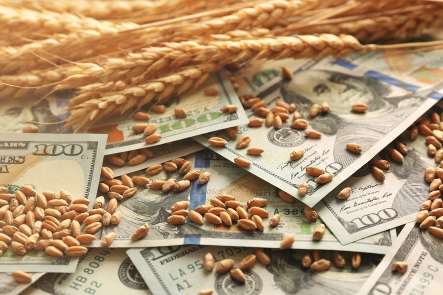 World wheat prices are falling, but demand for food wheat is growing in Ukraine