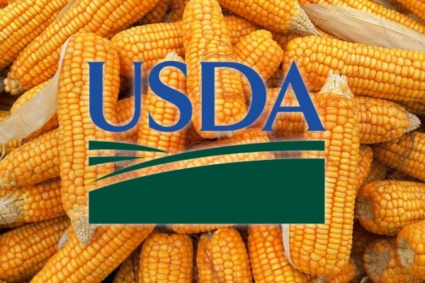 USDA підвищив прогноз виробництва кукурудзи у США одразу на 26 млн т, що сильно покращило світовий баланс на 2025/26 МР, тому котирування впали на 3,6-3,8%