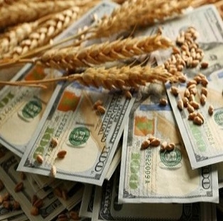 Wheat prices don't stop falling