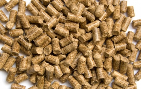 Китай вперше вийшов у лідери серед імпортерів українського ріпакового шроту