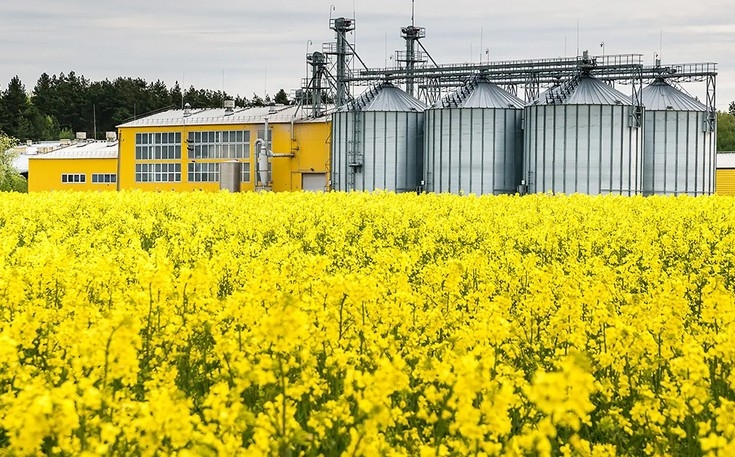 Канада в апреле нарастила экспорт канолового масла до максимума за последние 1,5 года, в то время как поставки канолы продолжают сокращаться.