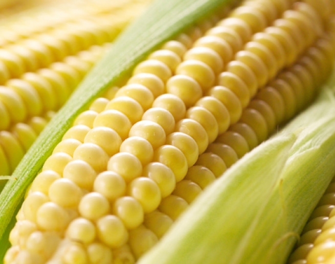 Following oil prices, corn quotes rose by 2.5