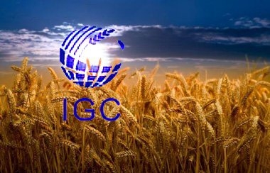 The International Grains Council (IGC) lowered its forecasts for soybeans and corn, but raised slightly for wheat