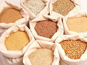 Ринок зерна стабілізується на поточному рівні цін