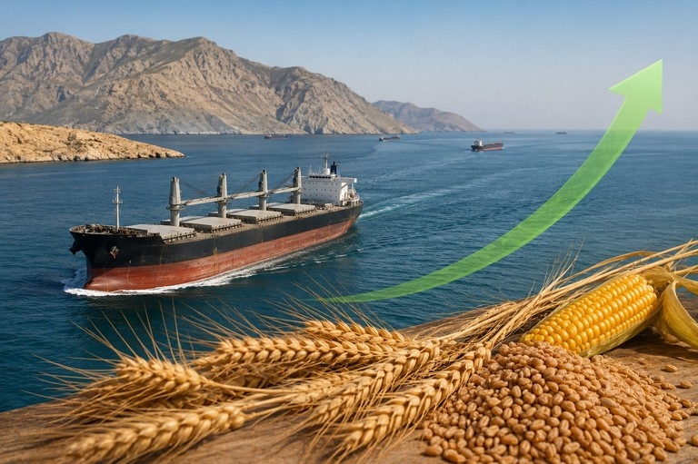 Opening of the Strait of Hormuz could dramatically increase grain imports by Middle Eastern countries