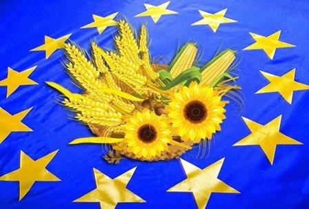 ЄС збільшив квоти на імпорт українського зерна 