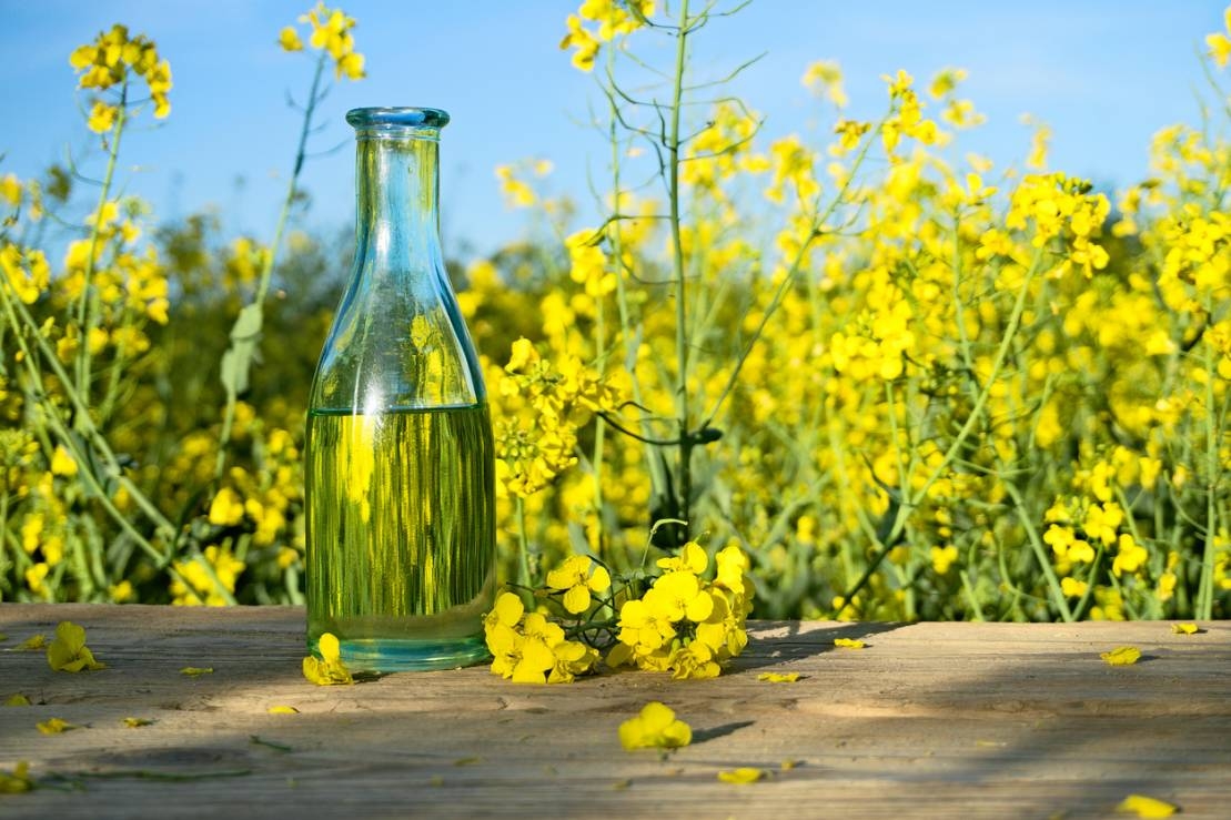 For the first time in 25 years, the prices of rapeseed oil in the EU have fallen below those of palm oil