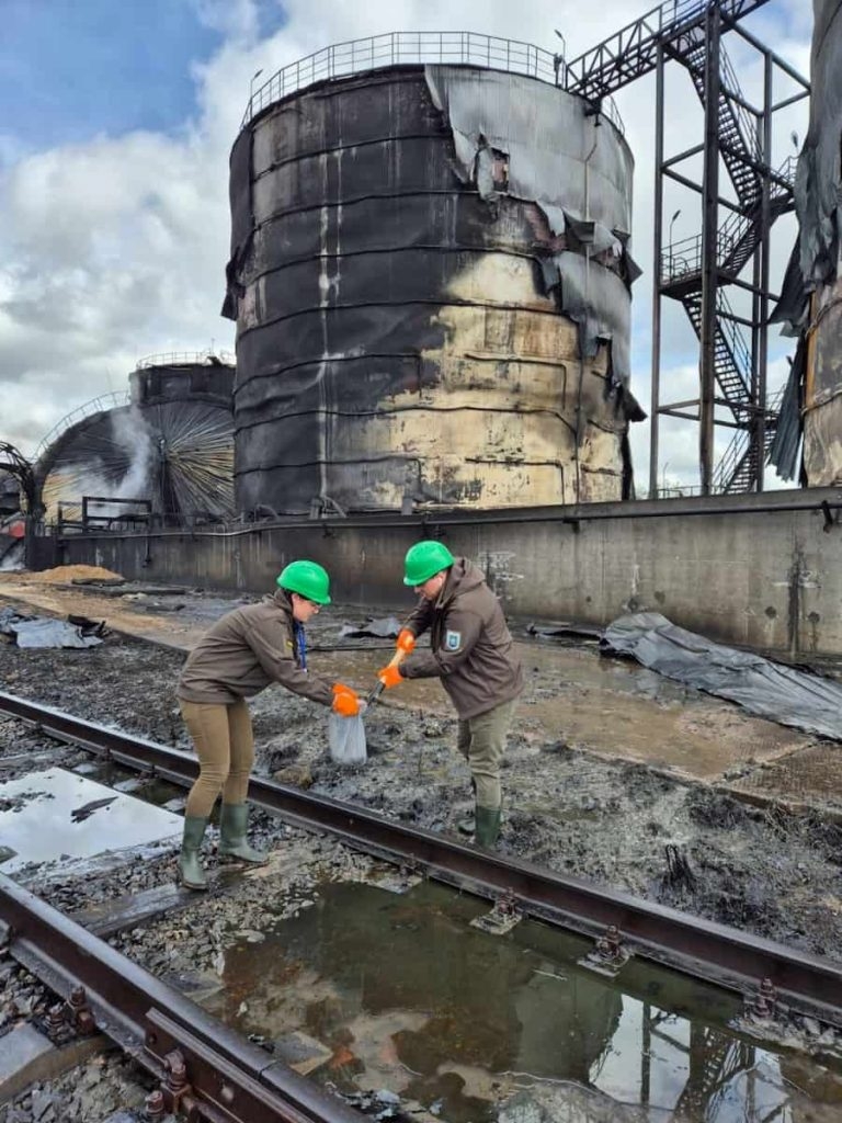 Ціни на соняшник в Україні обвалились після удару по олійноекстракційному заводу в порту Південний 