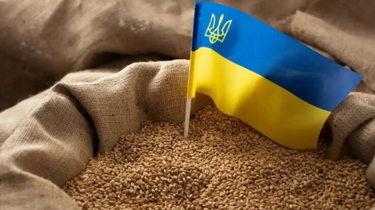 Огляд ринку зерна України від компанії Spike Brokers
