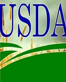 Experts the USDA lowered the forecast of world production and consumption of wheat