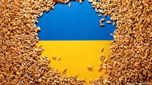 В Україні темпи збирання відповідають торішнім, але експорт у двічі нижчий