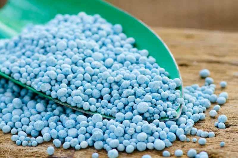 Ціни на азотні добрива виросли вдвічі з початку війни на Близькому Сході