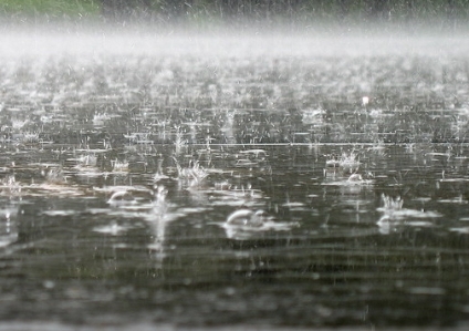 Precipitation in early may contributed to the development of crops