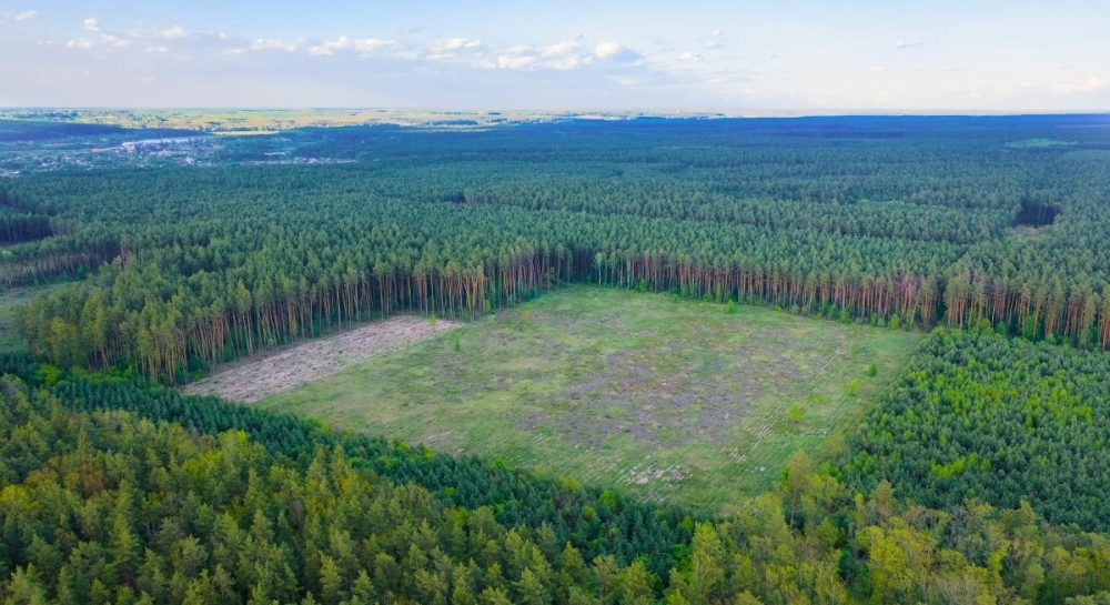 Скасування податкових пільг може змусити міжнародних трейдерів відмовитися від угоди про захист лісів Амазонії, що збільшить площі під соєю
