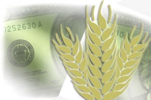 Ціна пшениці на біржах США росте на тлі погодних новин