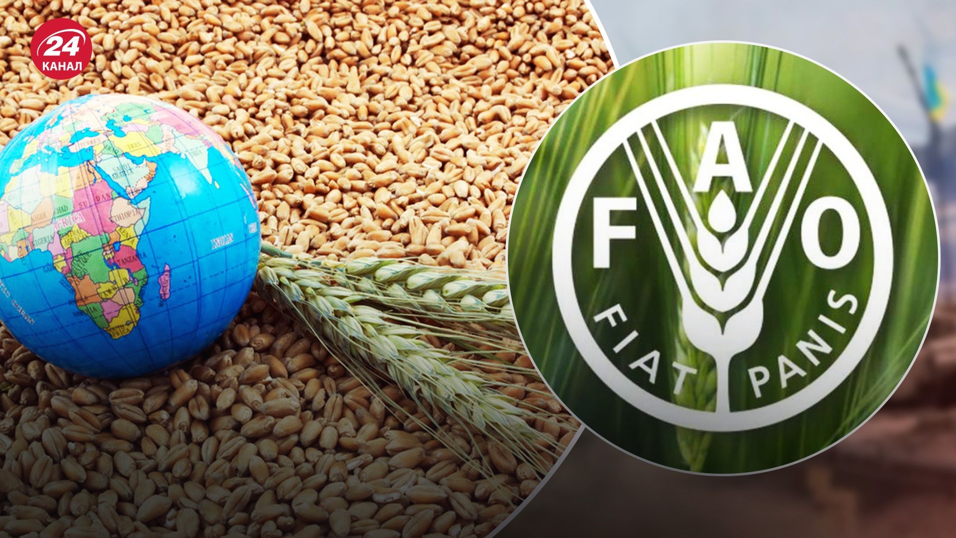 Індекс цін ФАО на продовольство знижується третій місяць поспіль, а  світовий збір зерна у 2025/26 МР вперше перевершить 3 млрд т 