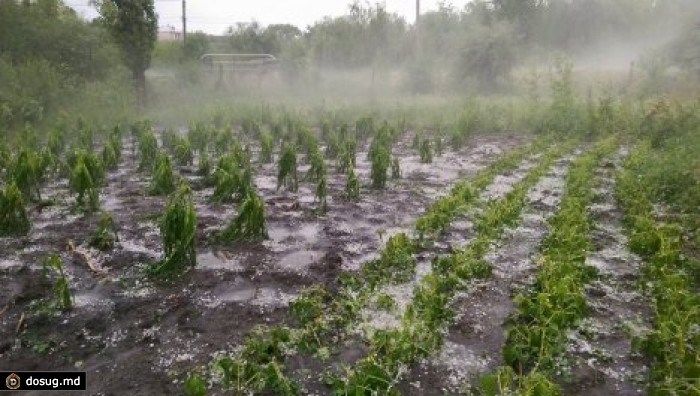 Увага трейдерів прикута до погодних умов в Аргентині та Бразилії