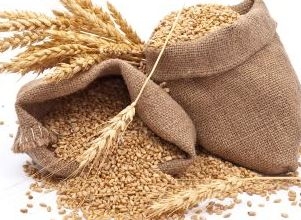 В США и Украине цены на пшеницу растут, в ЕС остаются стабильными
