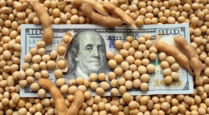 Котирування на сою продовжують падати, оскільки Китай придбав у США лише половину обіцяного обсягу сої 