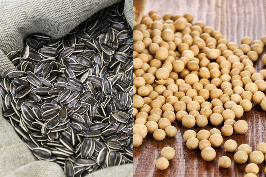 Tariff uncertainty lowers oil and soybean oil prices in the US, putting pressure on sunflower and soybean prices in Ukraine