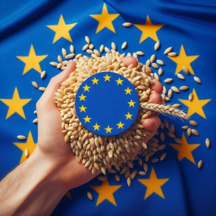 Strategie Grains agency lowers EU oilseed harvest forecast, but rapeseed quotes continue to fall