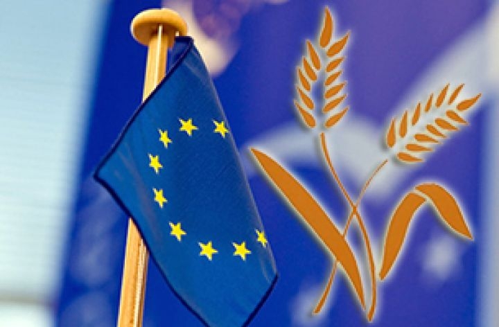The European Commission lowered its grain production and export forecasts, but EU prices responded by falling.