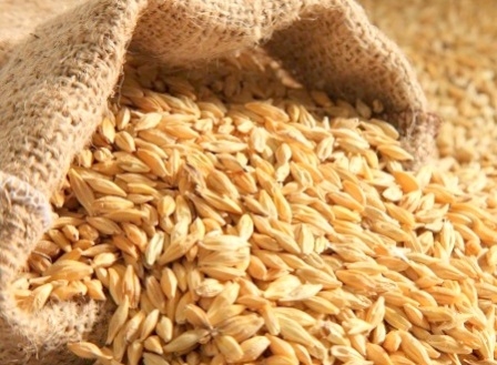 Even the increase in exports from the EU was unable to support the price of wheat