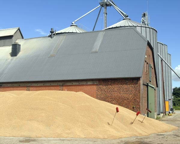 Запаси сої та пшениці в США виявилися нижчими за очікувані