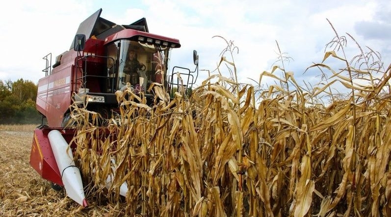 Soybean and sunflower harvest in Ukraine is slower than last year