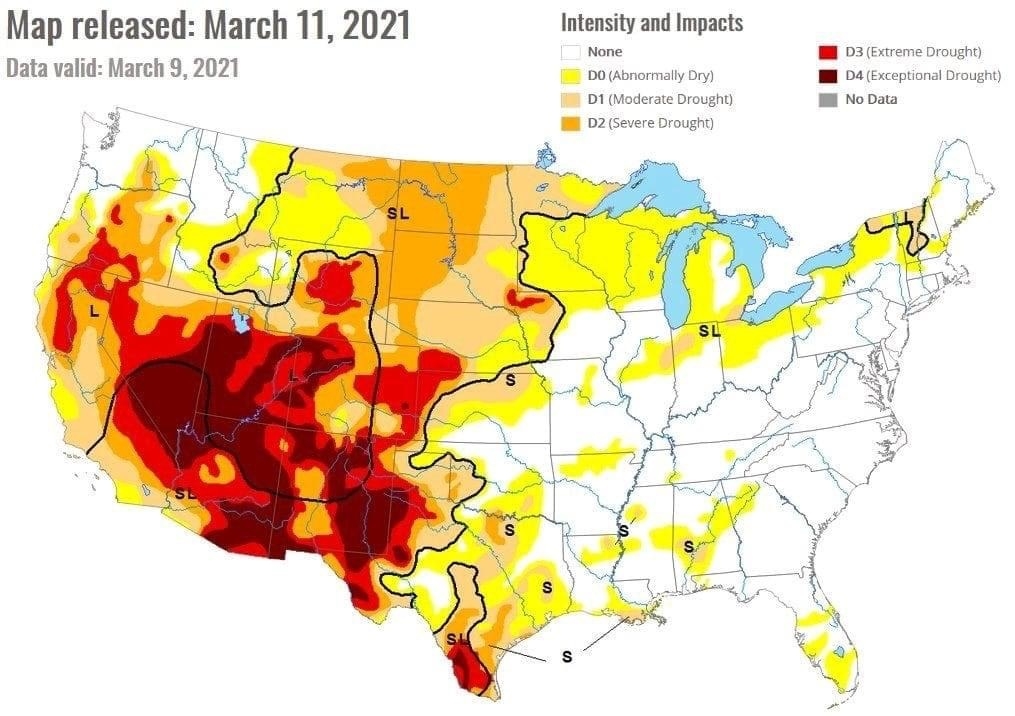 The precipitation deficit in Argentina and in the Eastern United States in the near future will affect the price of grain